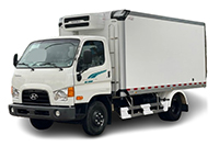 Hyundai W750